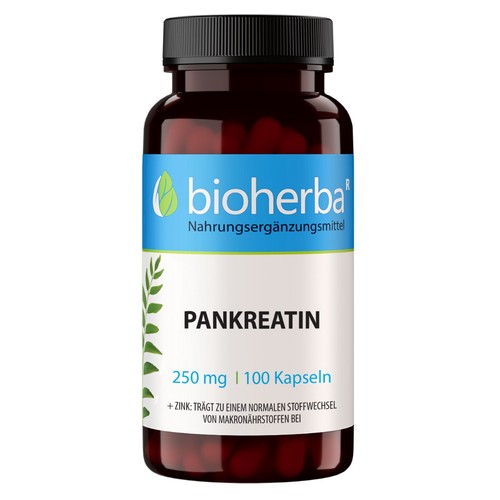 Bioherba pankreatin 250 100 - bioherba,